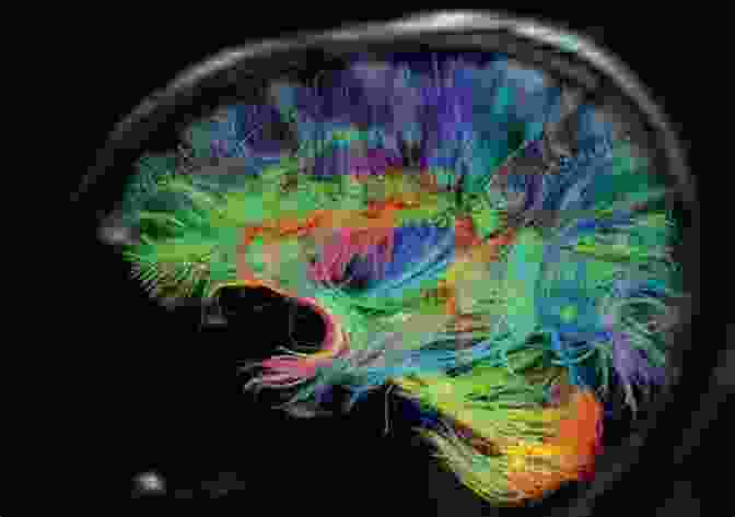 A Brain Scan, Illustrating The Interdisciplinary Nature Of Neuroscience The Sensory Order: An Inquiry Into The Foundations Of Theoretical Psychology