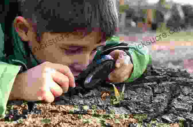 Children Exploring Nature With Magnifying Glasses Finding Educational Activities In The Most Unexpected Places: 200+ Activities For Young Children Using Common Household Objects