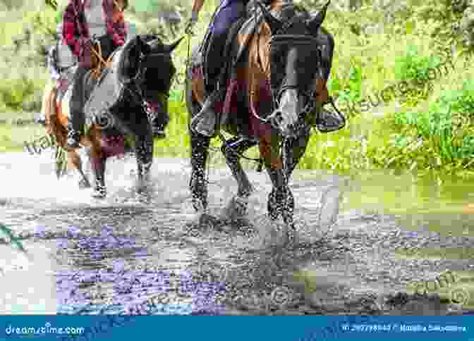 Riders Crossing A River On Horseback Horses Of The Sun (The Outback Riders 1)