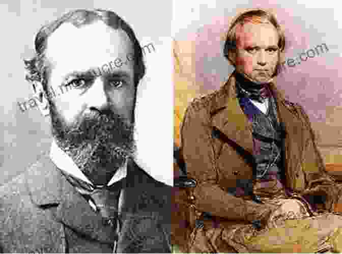 William James, A Pioneer Of Functionalism The Sensory Order: An Inquiry Into The Foundations Of Theoretical Psychology