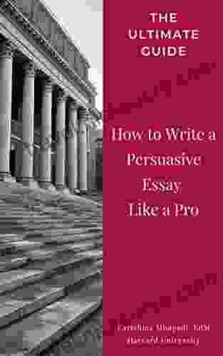 How To Write A Persuasive Essay Like A Pro