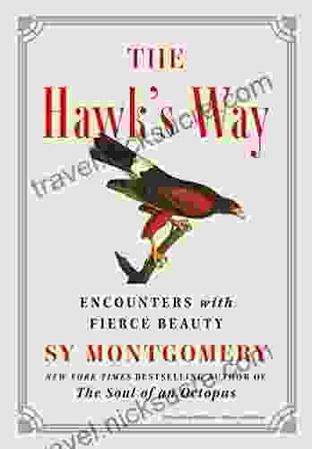 The Hawk S Way: Encounters With Fierce Beauty