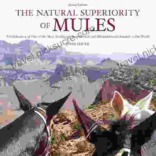 The Natural Superiority Of Mules: A Celebration Of One Of The Most Intelligent Sure Footed And Misunderstood Animals In The World Second Edition